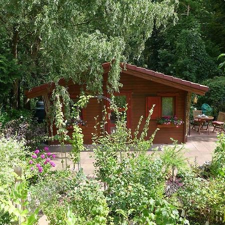 Ferienhaus Natura ノイルピーン 部屋 写真